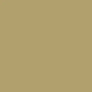 0388 Shiny Gold