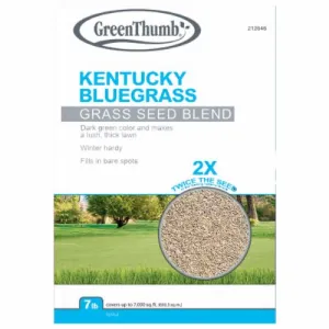 Barenbrug GTKBG7 7 LB Bag of Kentucky Bluegrass Blend Grass Seed - Quantity of 1