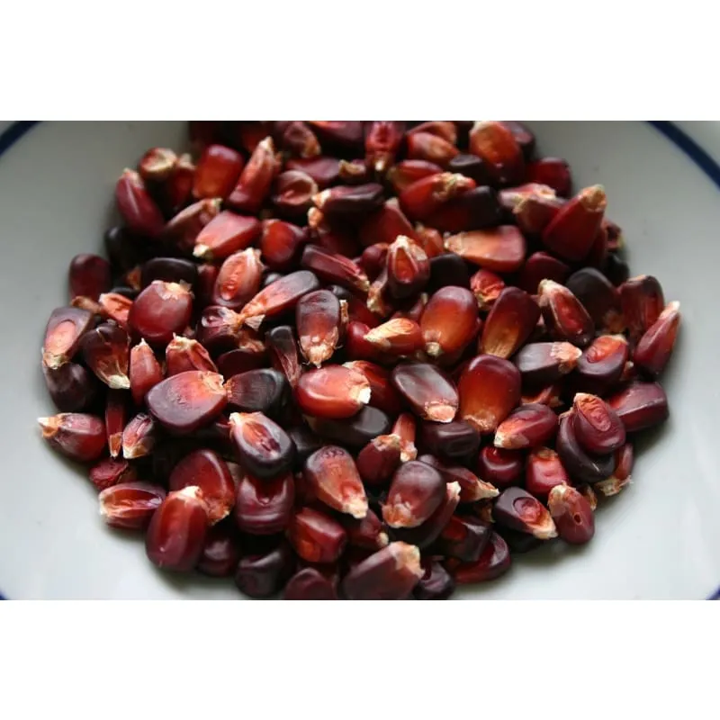 Bloody Butcher Corn (Heirloom 120 Days)
