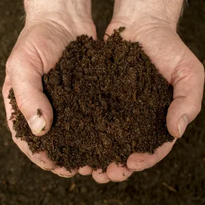 Bordermix® Welsh Topsoil Sample
