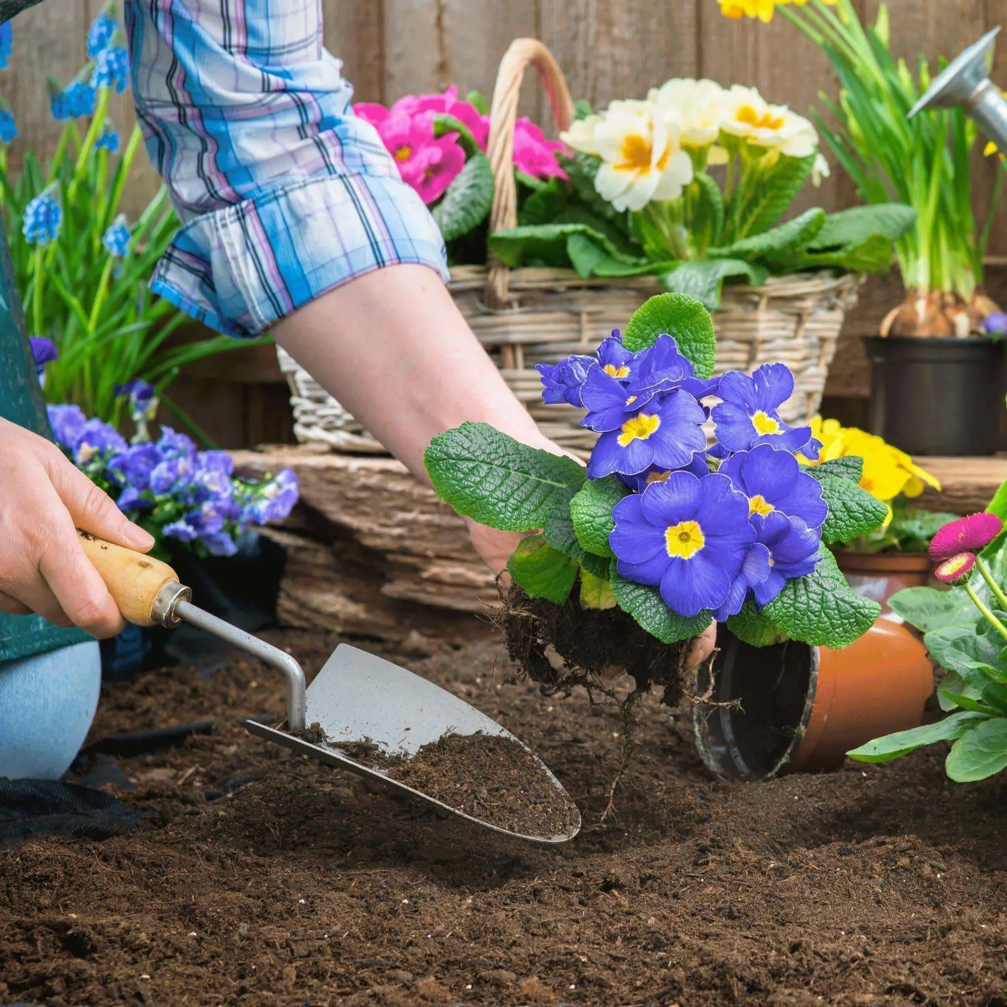 Bordermix® Welsh Topsoil Sample