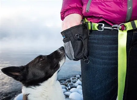 Carry All Dog Treat Bag