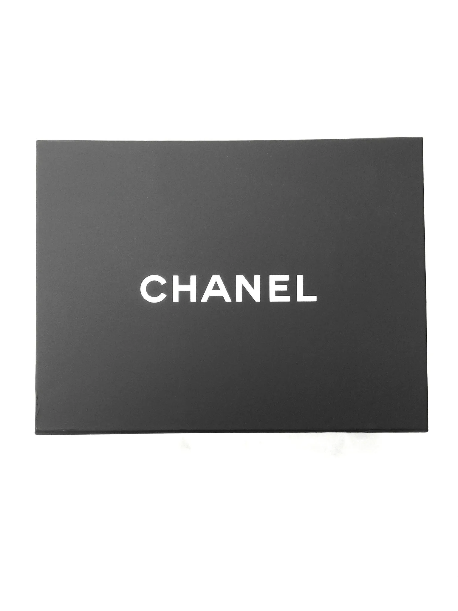 Chanel Limited Edition Milk Carton Leather Bag