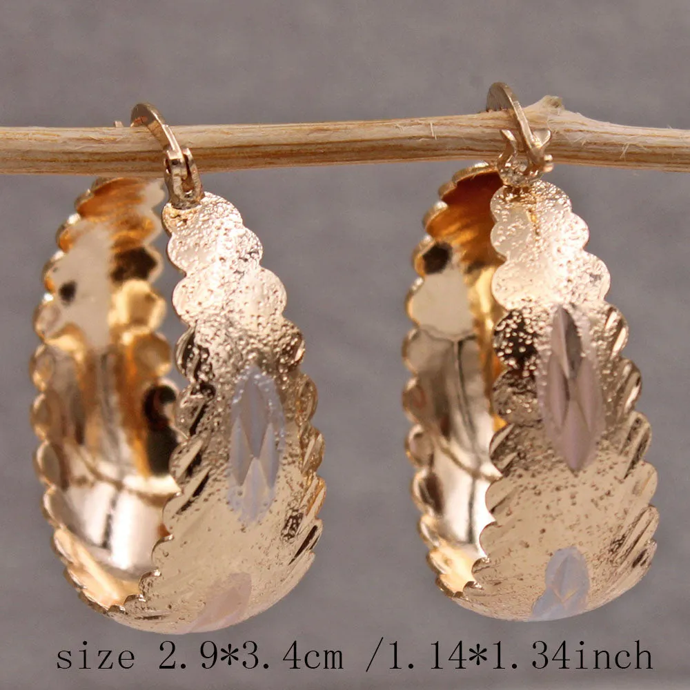Chicmy-Luxurious Trendy Hoop Earrings for Women