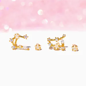 Constellation Studs