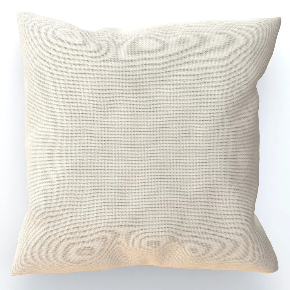 Cushion - Controllerz Cream