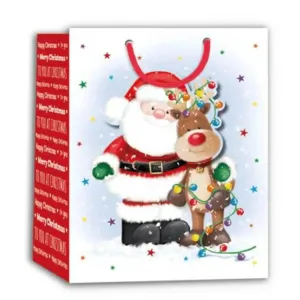 Giant Santa & Friends Gift Bag