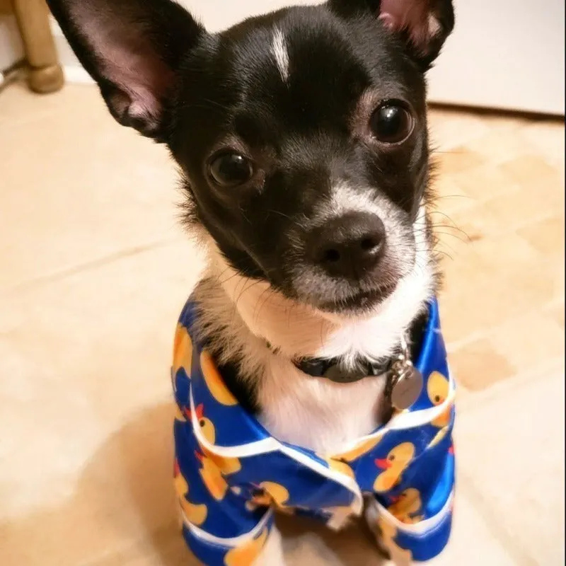 Luxurious Satin Rubber Duck Dog PJs