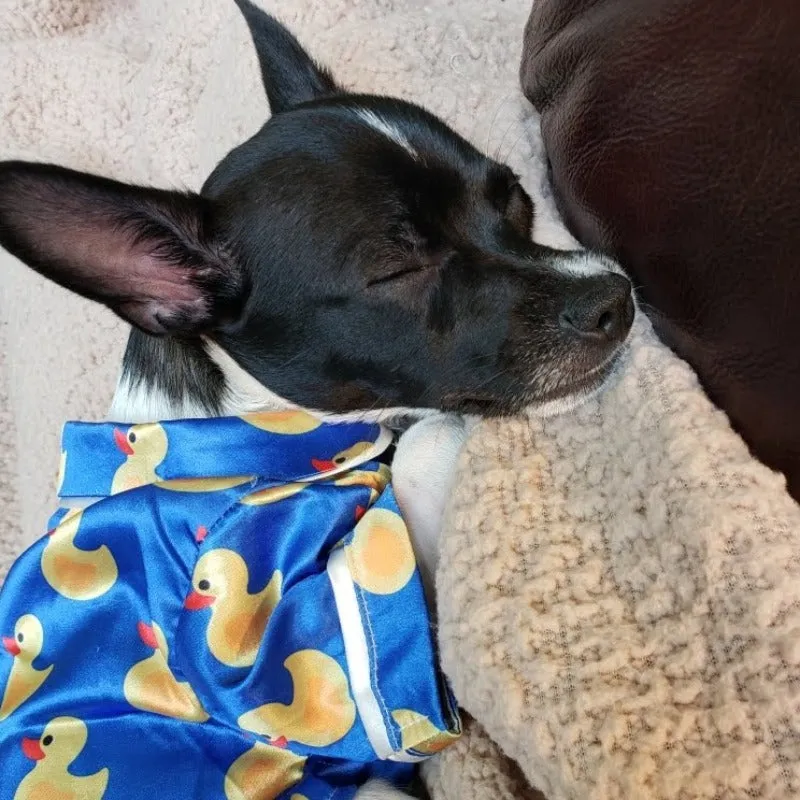 Luxurious Satin Rubber Duck Dog PJs