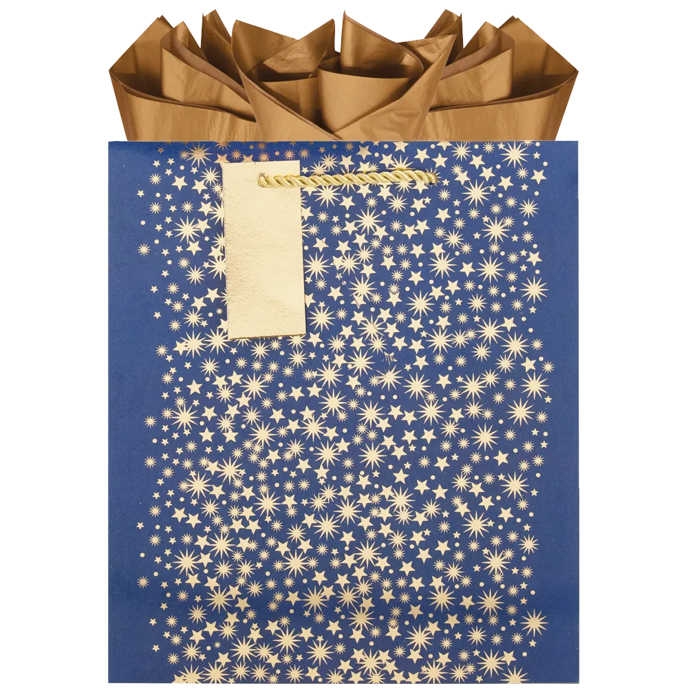 Midnight Sky - Medium Gift Bag
