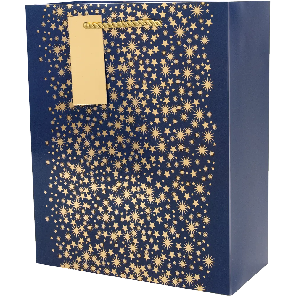 Midnight Sky - Medium Gift Bag