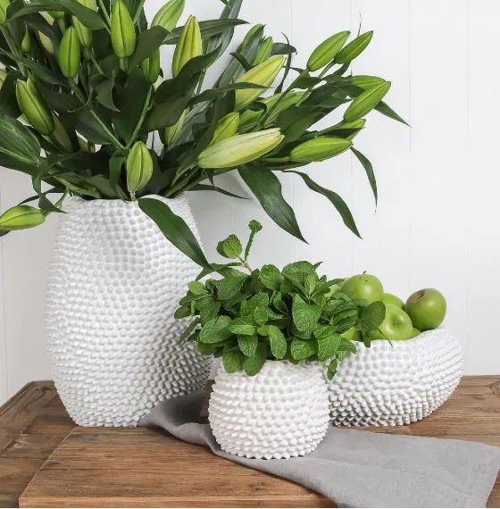 Mode Porci Vase