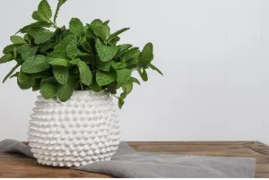 Mode Porci Vase