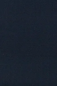 Paul Betenly "Florence" Blue Solid Plain Front Pants