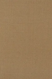 Paul Betenly "Florence" Tan Solid Plain Front Pants