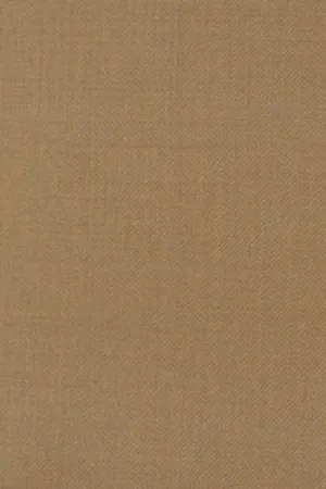Paul Betenly "Florence" Tan Solid Plain Front Pants