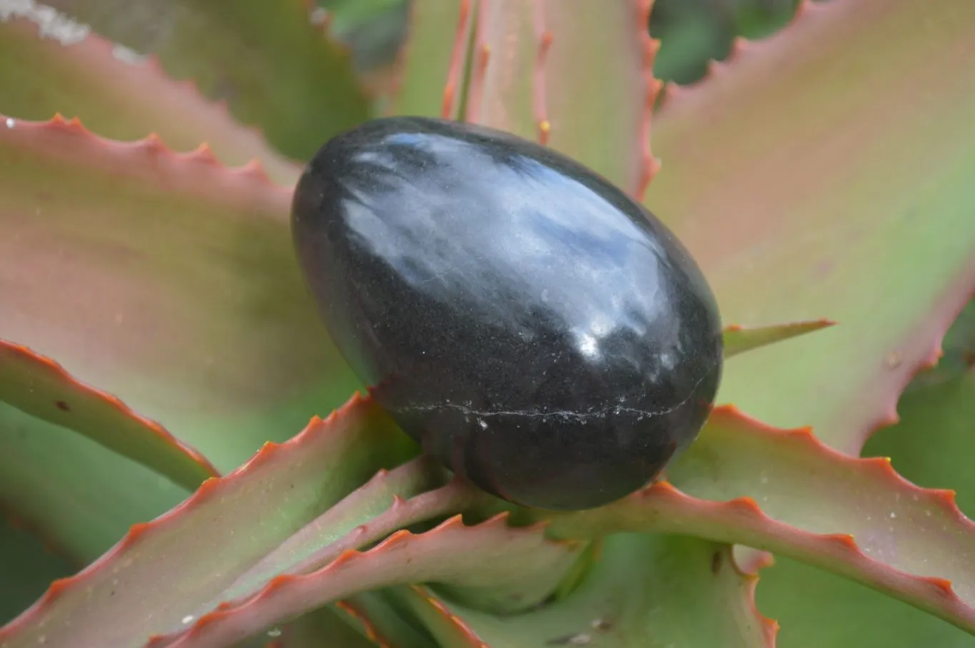 Polished Black Basalt Eggs  x 12 From Antsirabe, Madagascar