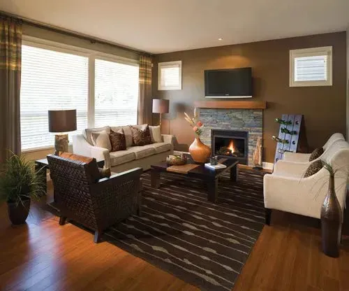 Silhouette 48107 Brown/ Brown Rug