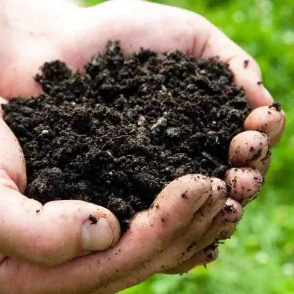 Soil Improver Conditioner