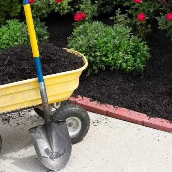 Soil Improver Conditioner