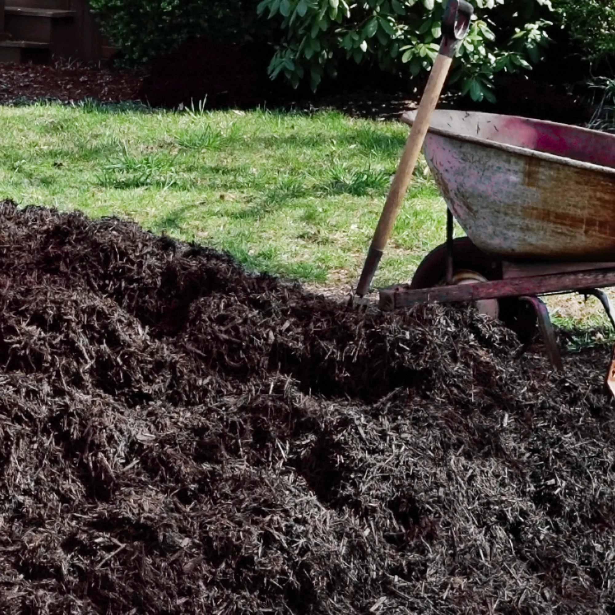 Spent Mushroom Compost