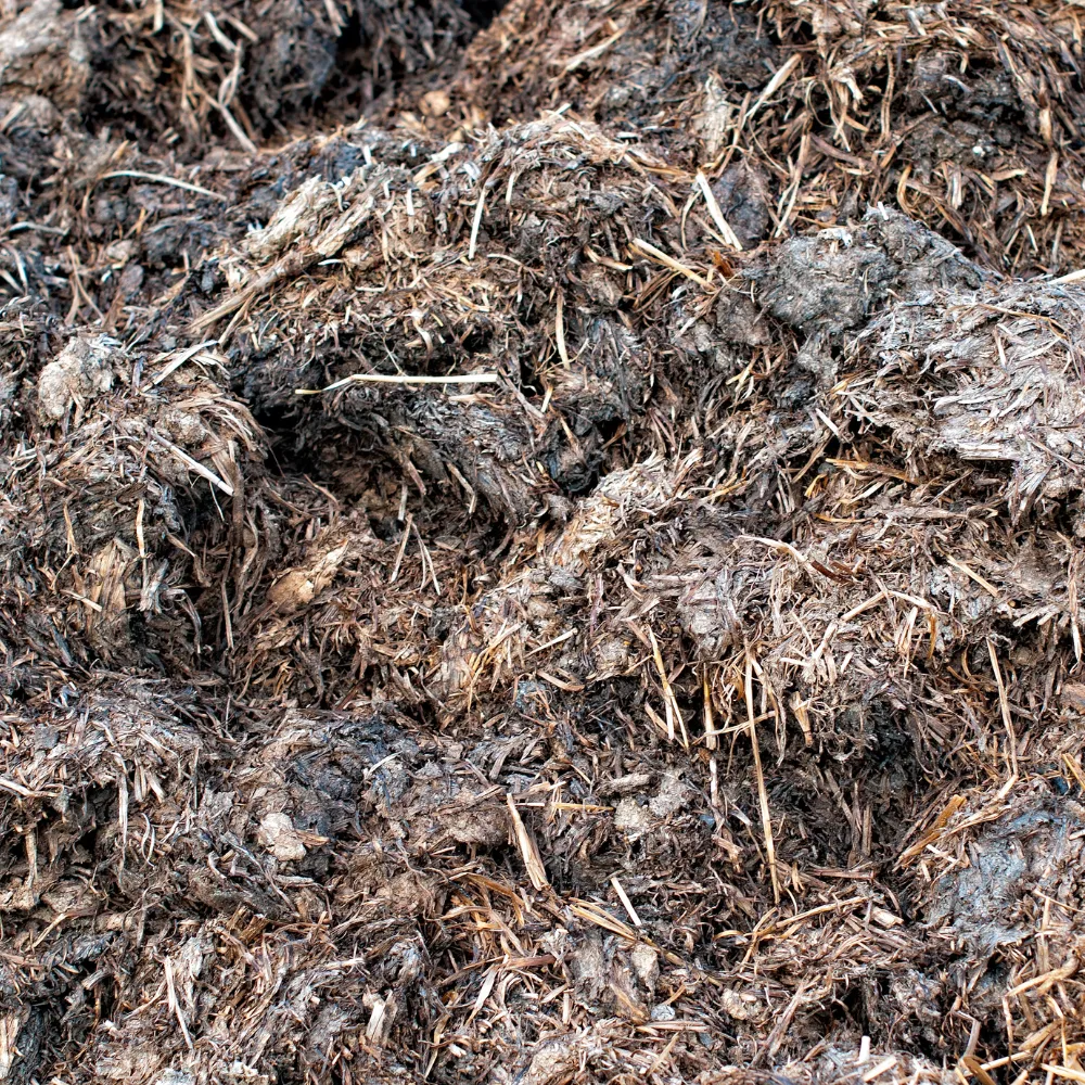 Spent Mushroom Compost