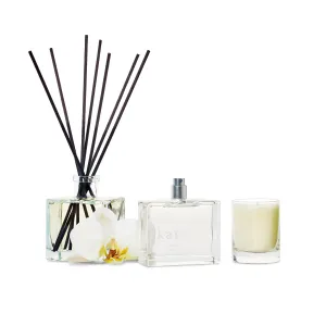 spring home bundle