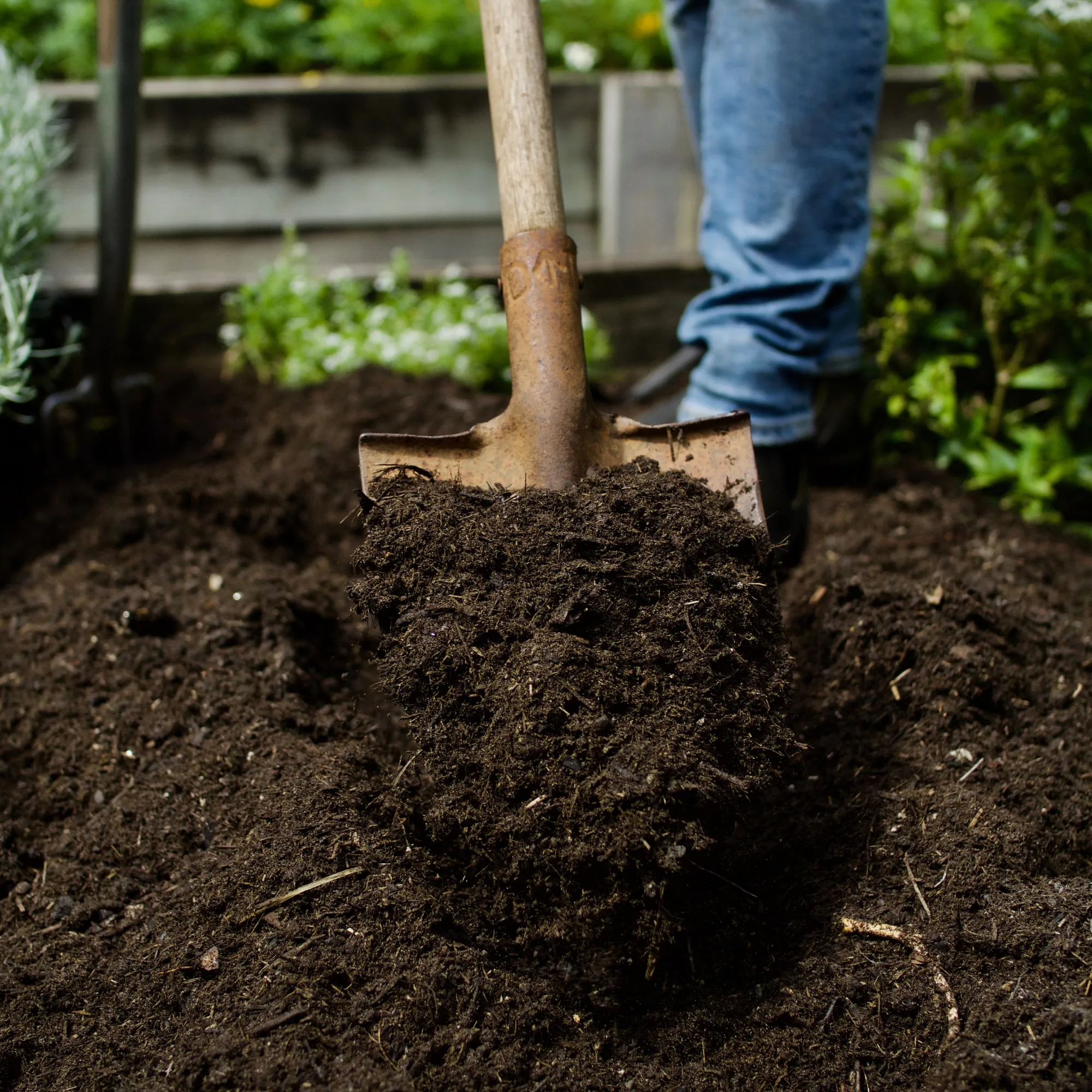 Springmix Compost Garden Mulch