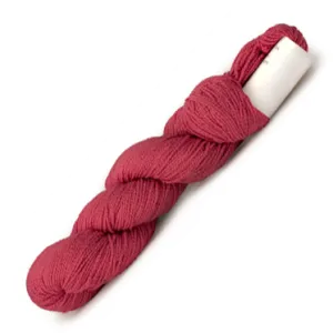 Summer Fun Socks Kit (Ripe Raspberry 015)