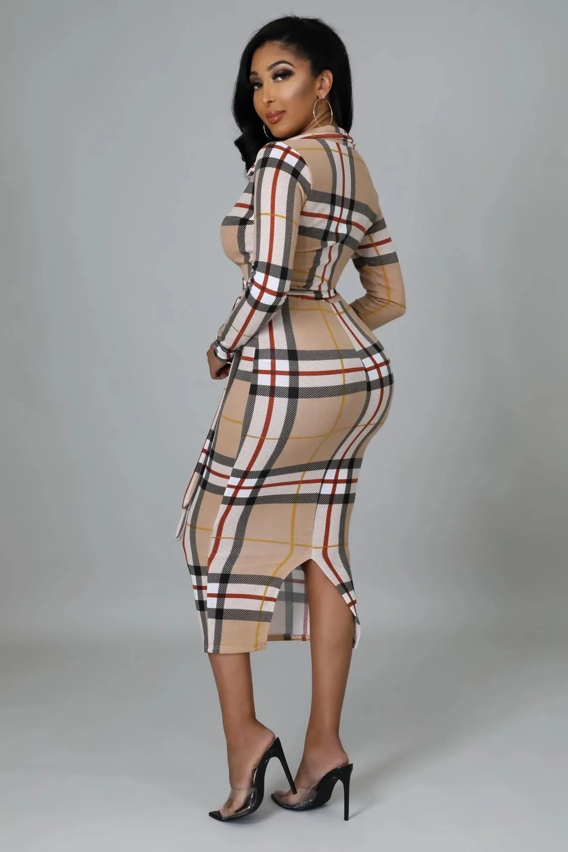 The Luxurious Dress