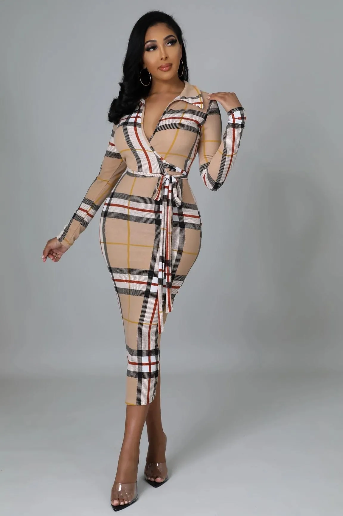 The Luxurious Dress