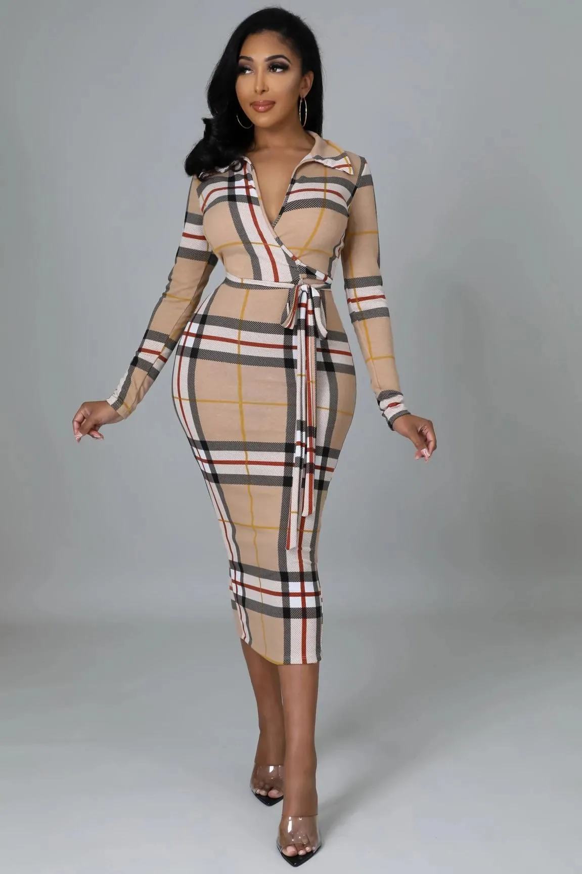 The Luxurious Dress