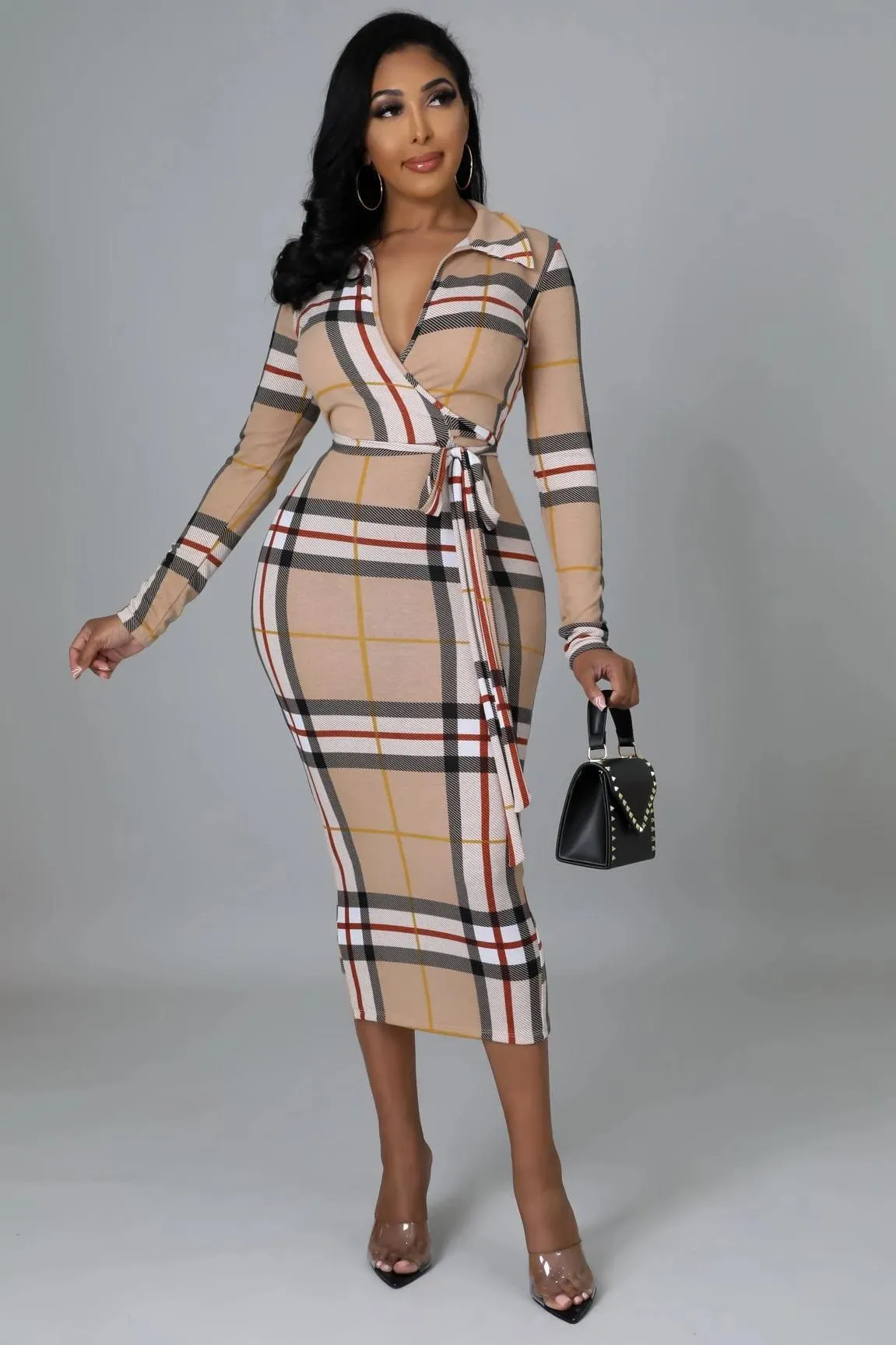 The Luxurious Dress