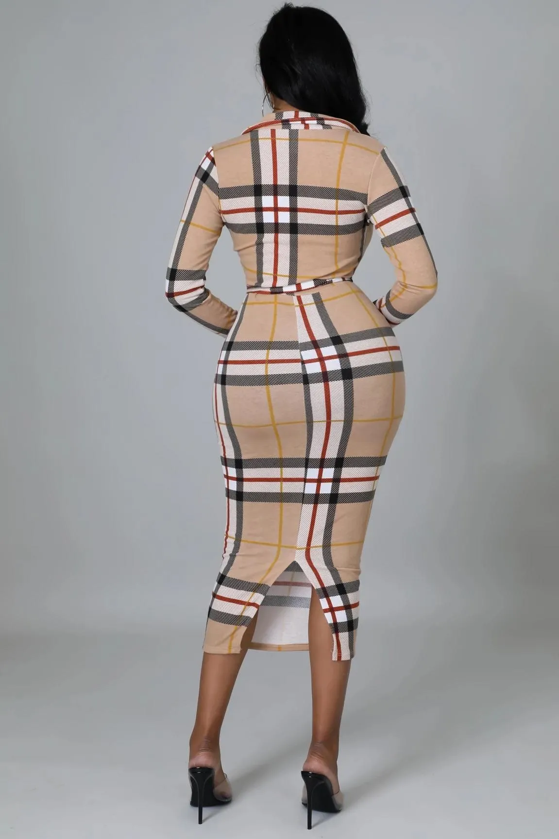 The Luxurious Dress