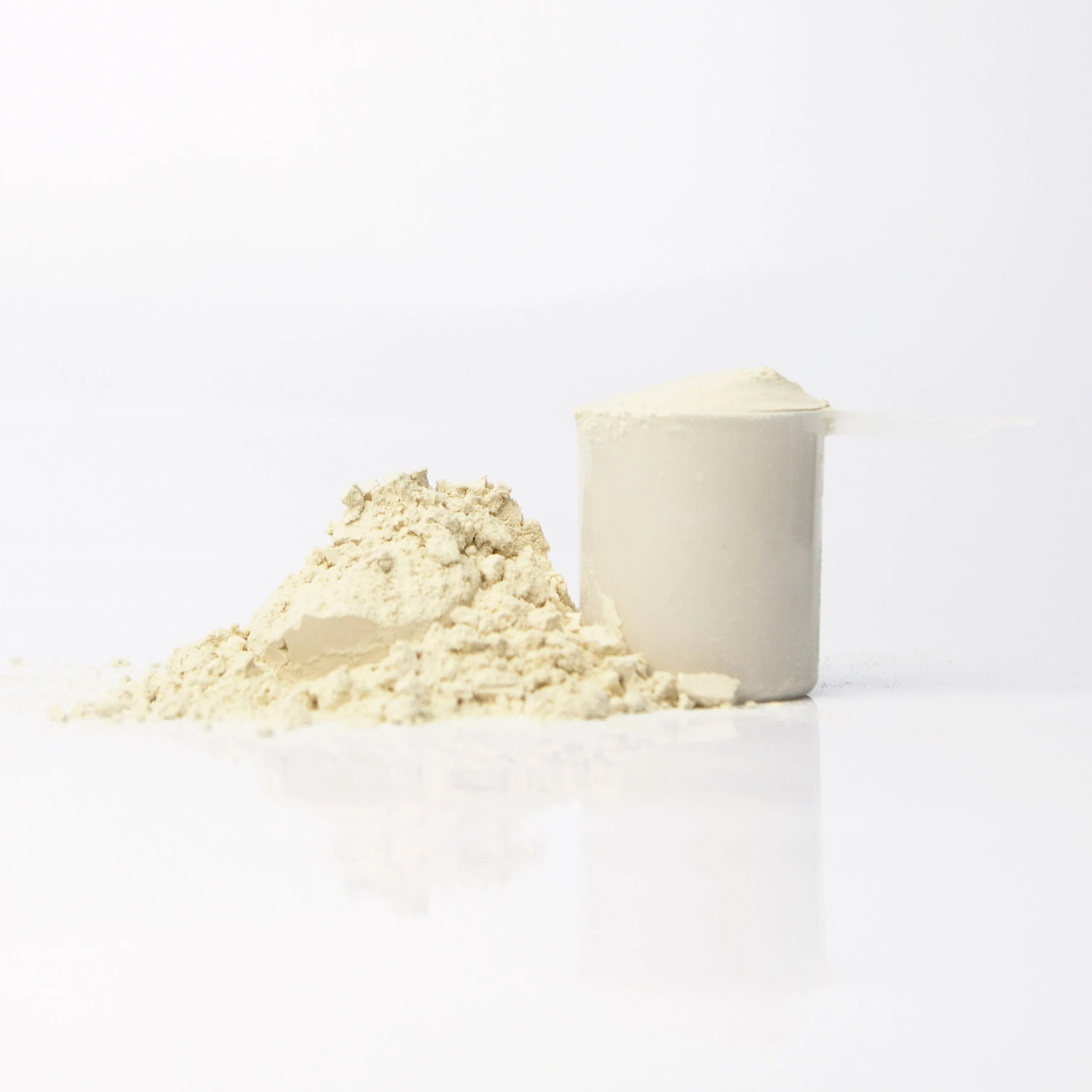 Vegan Protein